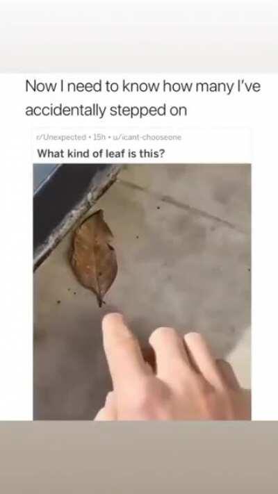 Damn nature you crazy