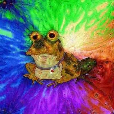 ALL GLORY TO THE HYPNOTOAD