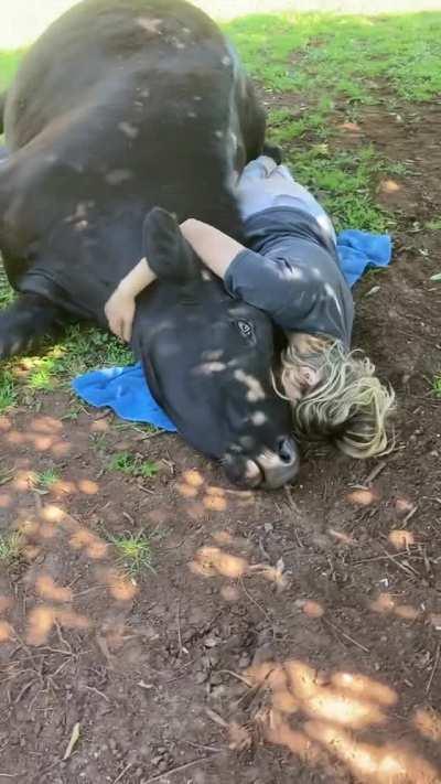 Laying down a towel and giving a hug