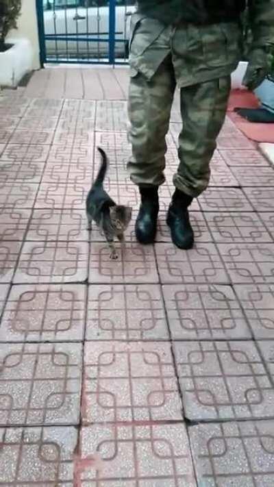 Asker Yürüyüşü yapan bir Kedi :)