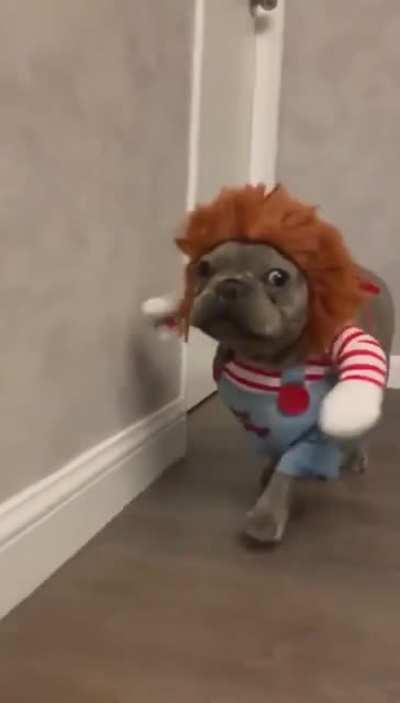 Deadly dog costume