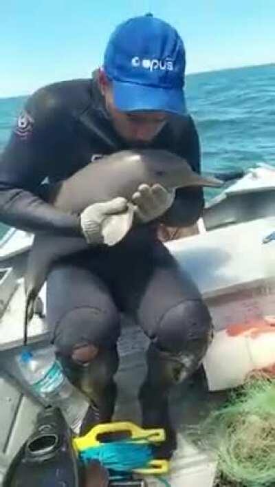 Rescued Baby Dolphin...