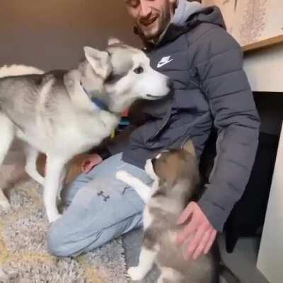 Rupert meets his new sister, Lola! He even speaks her name The cutest of them all!