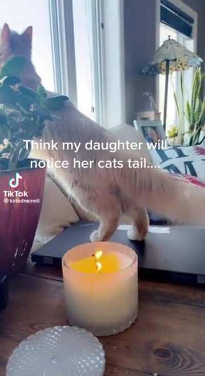 @awkwardpals video #508591