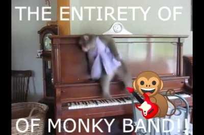 Ohhh ahhhh monkey band