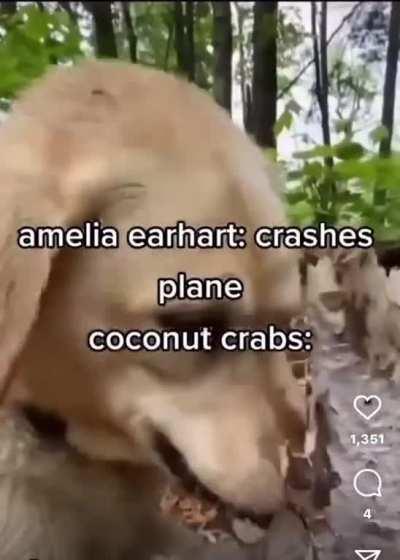 âï¸ð¦