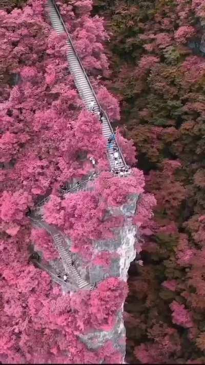 Chaiyuxi Grand Canyon - China