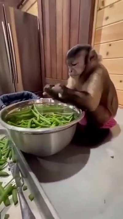 Dinner prep helper