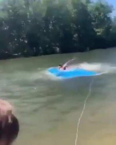 WCGW not letting snake pass on a picnic spot