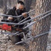 Using A Climbing Tree Stand