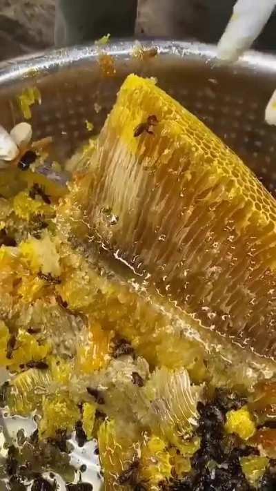 Nothing to looking at, just a Honey Comb