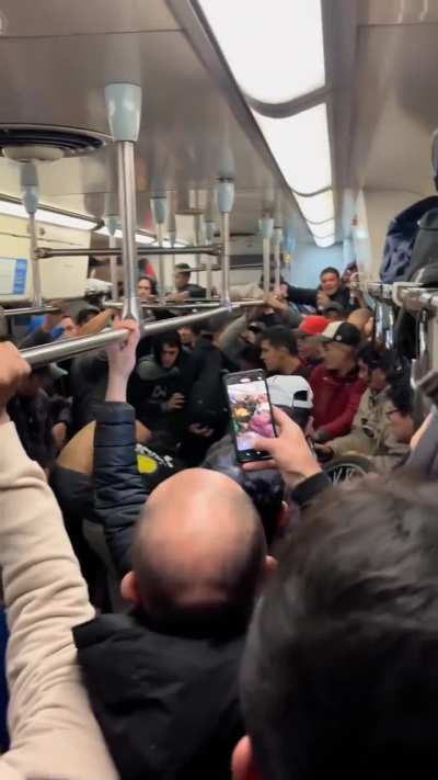 Un día normal en el tren San Martín 