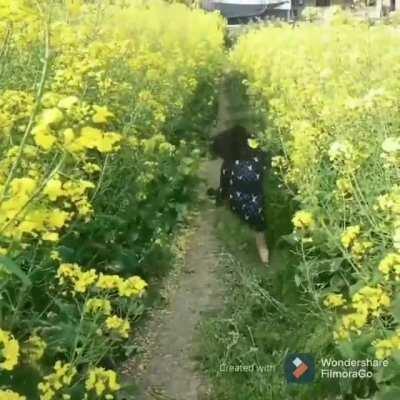 to run between flowers