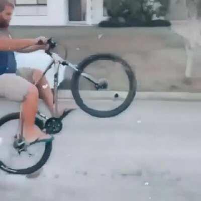 WCGW if i wheelie with a bike and stop immediately then continue riding