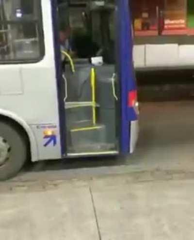 This stray dog waits every day for the bus man to give him a cookie.