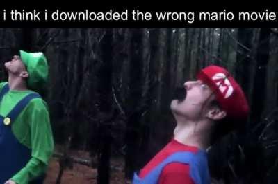 guys i think i downloaded the wrong mario movie