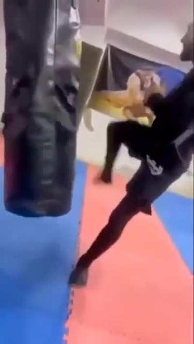 Punching Bagman, the one who punches back