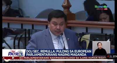 Most professional philippine senator