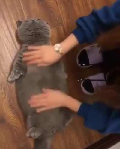 Belly rubs