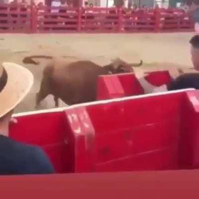 WCGW underestimate a bull