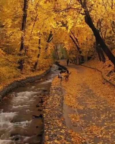 Golden fall in Almaty, Kazakhstan