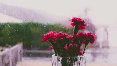 Rain with flowers