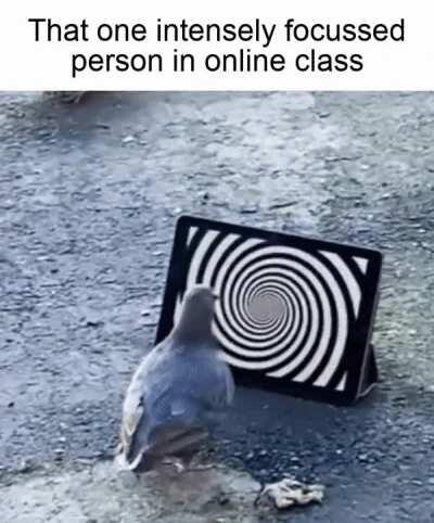 They say online class is harmless