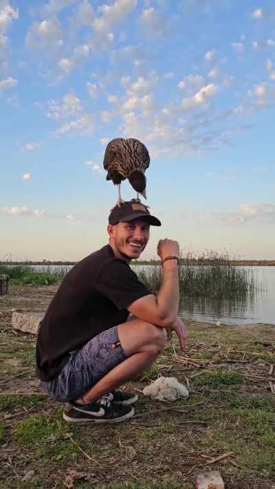 Turista pescaba en el Rio Baradero y se le posó un carancho en la cabeza