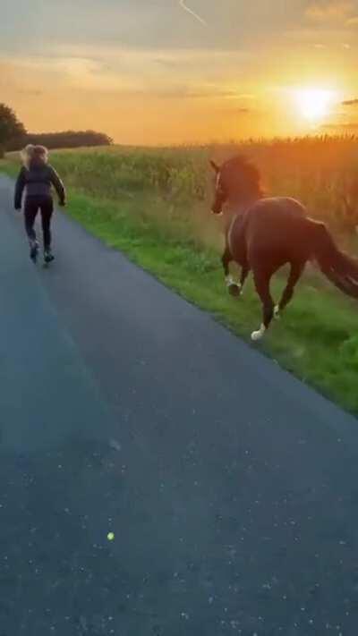 She Takes Her Buddies Out For A Run While She Inline Skates