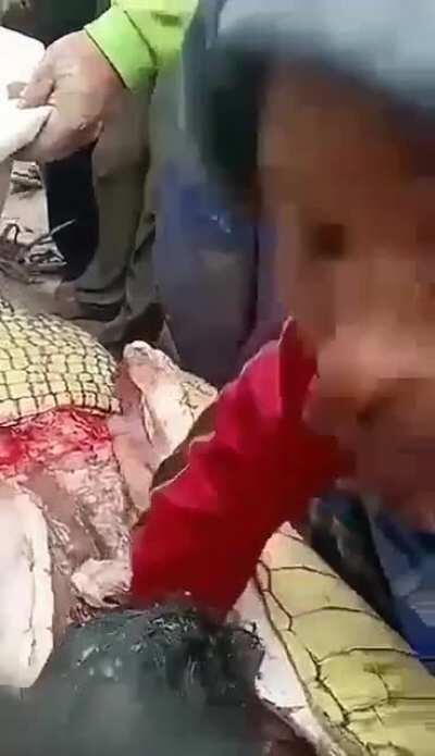 Dismembered person removed from a crocodile