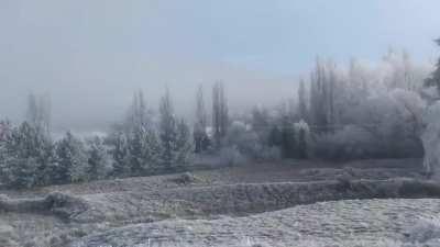 Hoar frost in the Mackenzie Country, last Sunday