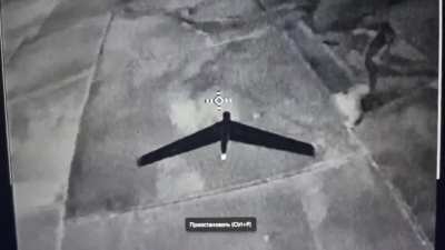 First footage of a Ukrainian interceptor drone with a thermal imager ramming a Russian recon drone