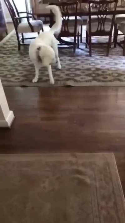 Hecking bamboozled himself!