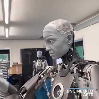 Facial movements of this Robot