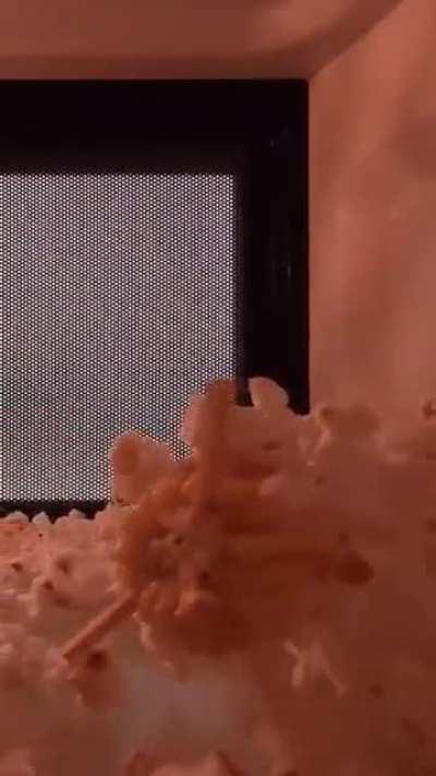 Popping corn on the cob in microwave