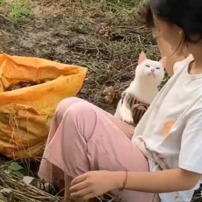 Cat hugs her human in middle of her work.