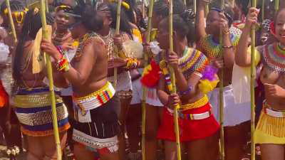 Reed Dance