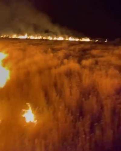 Controlled burn at the San Carlos Apache Indian Reservation