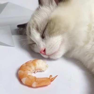 Shrimp-flavored dreams come true!