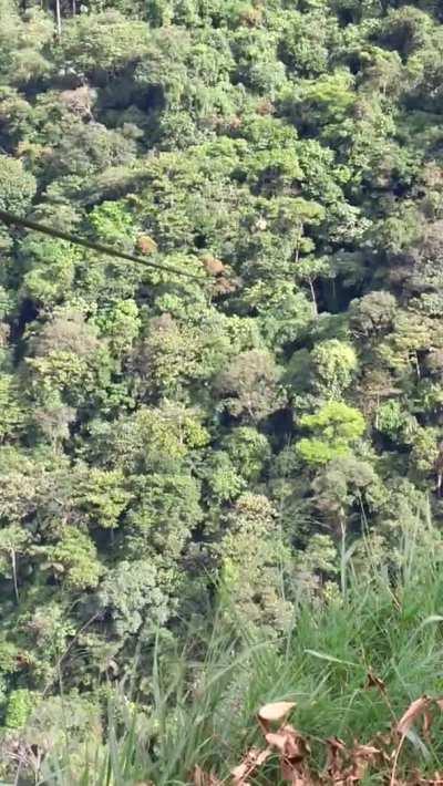 2 towns in Colombia linked by one amazing method of transport. Everything from food to small animals and even children are transported across the cable, which is 800 meters long, and 300 meters high. The trip lasts about 30 seconds each way and saves peop