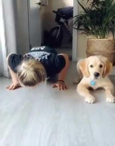 Adorable workout buddy