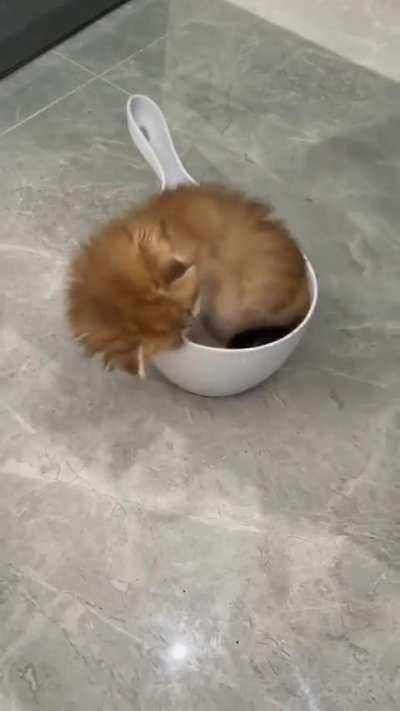 the little floof ball fits