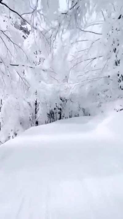 Winter road with snow and perfect white scenery