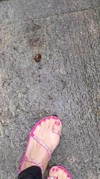 Jelly sandals vs snails