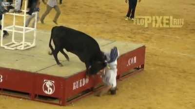 Bull executes perfect piledriver!