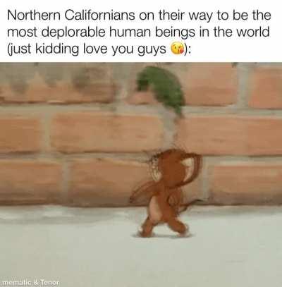 oh no i’m going to anger the three northern californians 🫢