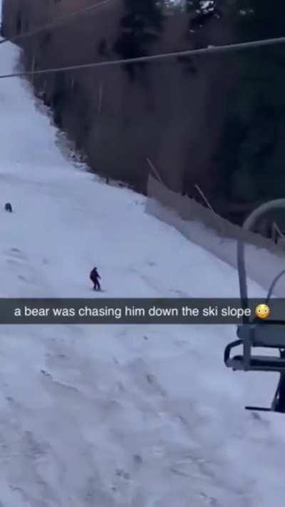 🔥Bear Chasing a Skier Down The Slope