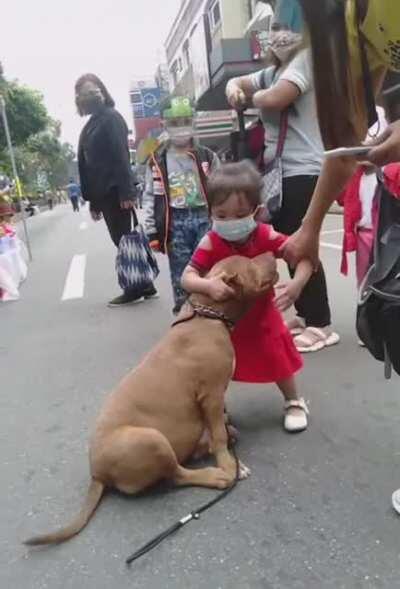 Little girl refuses to say goodbye to her new friend