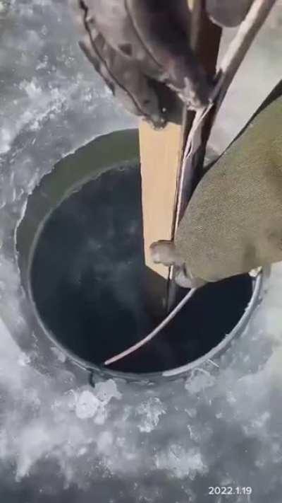 Making a Natural Refrigerator in Mongolia