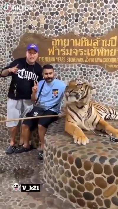 Sure, let's poke the tiger with a stick. 